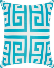OUTDOOR PILLOWS AS047 TURQUOISE 20" x 20" THROW PILLOW