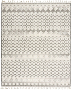 5' x 8' Area Rug