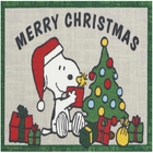 PNT02 PEANUTS/ENHCX PLN34 GREY 2' X 3'