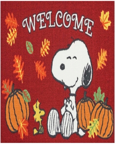 PNT02 PEANUTS/ENHCX PLN95 BURGUNDY 2' X 3'
