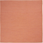 5' x 7' Area Rug