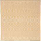 5' x 7' Area Rug