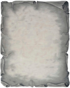 8' x 10' Area Rug