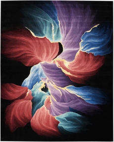 8' x 10' Area Rug
