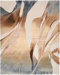 8' x 10' Area Rug
