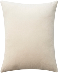 Sofia ZH103 Beige 20" x 20" Throw Pillow