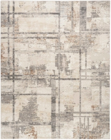 5' x 7' Area Rug