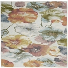 5' x 7' Area Rug