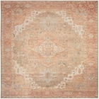 Vintage Washables VWS07 Coral Taupe Area Rug