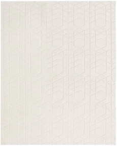 5' x 7' Area Rug