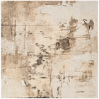 5' x 7' Area Rug