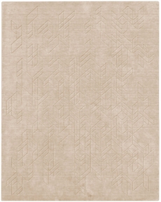 8' x 10' Area Rug
