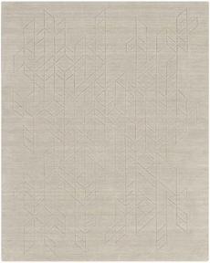 5' x 8' Area Rug