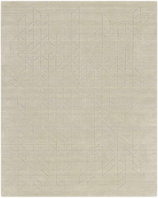 5' x 8' Area Rug