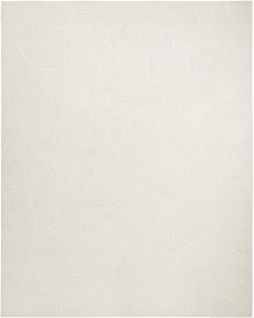 8' x 10' Area Rug