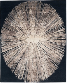 8' x 10' Area Rug