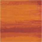 4' x 6' Area Rug