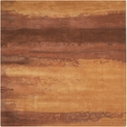 4' x 6' Area Rug