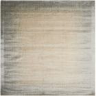 4' x 6' Area Rug