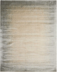 4' x 6' Area Rug