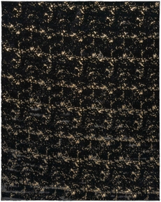 5' x 7' Area Rug