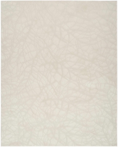 5' x 7' Area Rug
