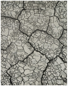 6' x 8' Area Rug