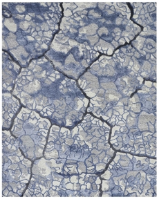 6' x 8' Area Rug