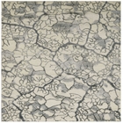 6' x 8' Area Rug
