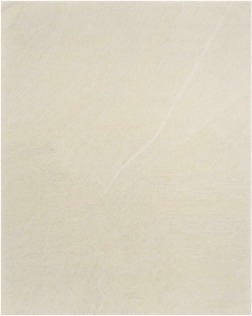 8' x 10' Area Rug