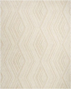 8' x 10' Area Rug