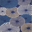 5' x 7' Area Rug