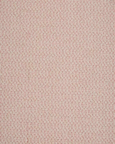 HALO SAFARI HLSF CHIFFON
