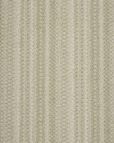 HALO STRIPE HLST SPRING