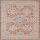 5' x 8' Area Rug