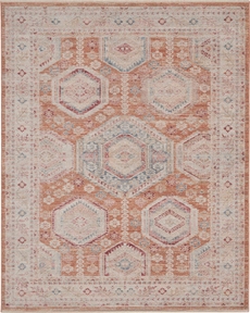 5' x 8' Area Rug