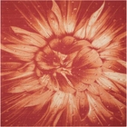 6' x 8' Area Rug