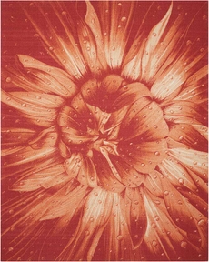 6' x 8' Area Rug