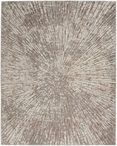 5' x 7' Area Rug