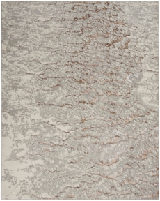 5' x 7' Area Rug