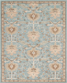 5' x 7' Area Rug