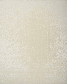 RECTANGLE 5'3'' x 7'5''