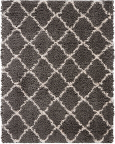 5' x 7' Area Rug