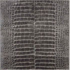 6' x 8' Area Rug