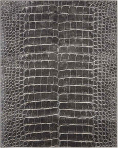 6' x 8' Area Rug
