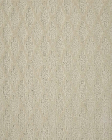 FELICITY 2 FELC2 SWAN CUSTOM