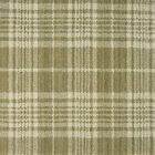 GINGHAM PLAID GINGP SAGE