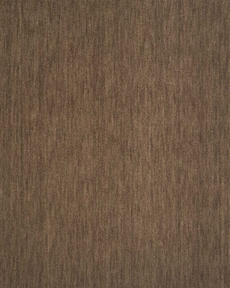 GRAND VELVET PT99 BARK FIFTY TO INFINITY