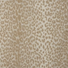 LUSTERPOINT LEOPARD POINT LPDPT BRUSH