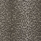 LUSTERPOINT LEOPARD POINT LPDPT EARTH